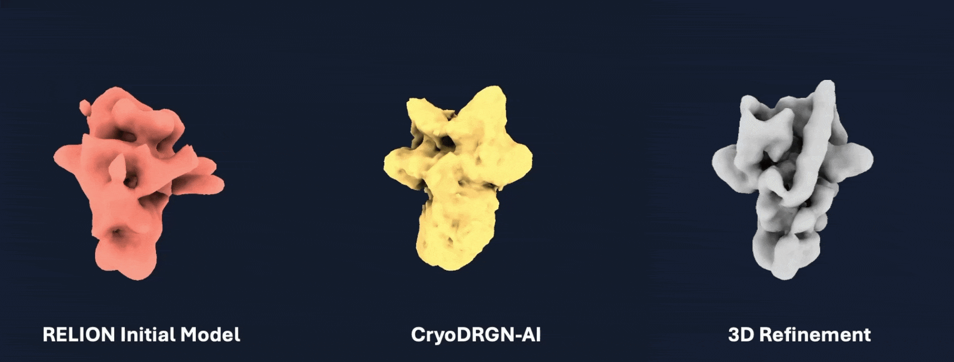 InitialModel_DRGN-AI