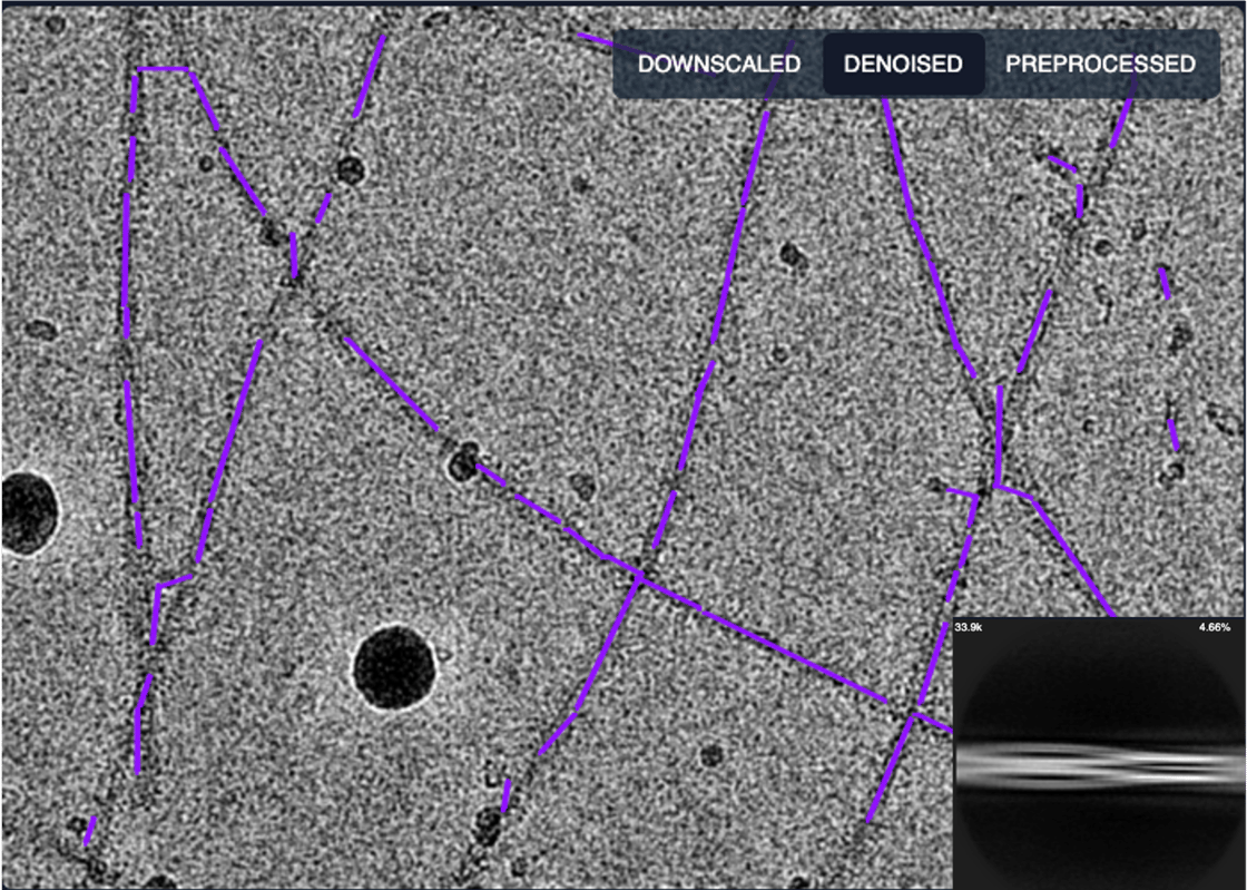 topaz_helicalpick_filamentoverlay-1